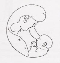 Mami műhely